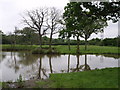 Fishing pond, Morchard Road