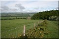 Green Lane From Hillhouse