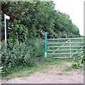 Bridleway past small copse