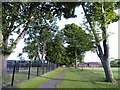 Avenue of Trees near Ketwell School