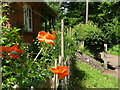 Cottage on the North Downs Way