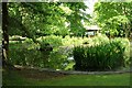 Pond at Heaton Mount - Keighley Road