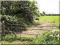 Footpath to Tetney