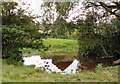 Small pond near Stokepark Wood