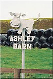 SY8195 : Tolpuddle: metal cow at Ashley Barn by Chris Downer
