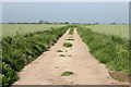 Farm Road to Little Scotney