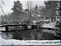 Priory Park in the snow