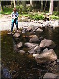 NY1700 : Stepping stones, Stanley Ghyll by N Chadwick
