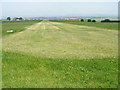 Grass air strip