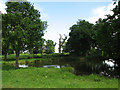 The pond at Rippon Hall Farm