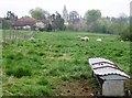 Fields in front of Empingham church