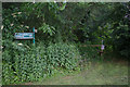 Footpath into Bucknell Wood