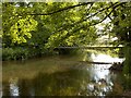 The River Avon, Milston