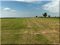 Hay meadow, Milston