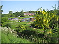 Garden Allotments in Delph