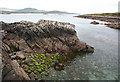 V5858 : Cove Harbour and Leaghillaun Island by Espresso Addict