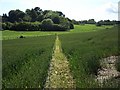 Footpath to Butland Farm