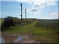 Bridleway near Winterborne Kingston