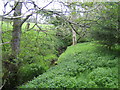 Stream near Harbottle Grange