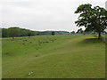 Medieval village site near Kirklington.