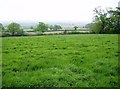 Pasture south of Lawns Farm