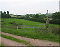 Pasture adjacent to the M50