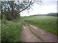 Footpath to Higher Whatcombe