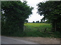 Footpath at Greenhill