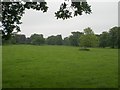 Parkland south of The Lodge, Stibbard