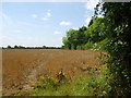 Footpath at South Leverton