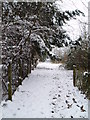 The footpath to Tucks Lane in the snow