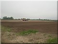 Cultivating and carrot drilling