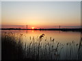 Barrow Haven Claypit