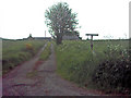 The Track to Wellside Farm