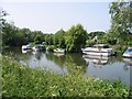 Boats moored just downstream from Grove Ferry