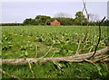 Log and barn at Lawn Hill