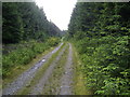 NS4681 : Track through Forest Clearing by Stephen Sweeney