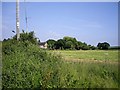 Field from First Dig Lane