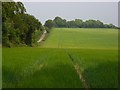 Farmland, Buckholt