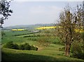 View into the Avon valley