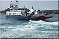 The Strangford Lough ferry (4)