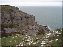 SS5686 : Limestone Cliffs at Pwlldu Head by Trevor Rickard