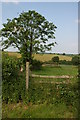 Footpath near New Barns, Coreley