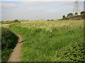 Footpath along edge of field, Elland Upper Edge