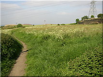 SE1220 : Footpath along edge of field, Elland Upper Edge by Humphrey Bolton