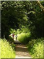 Stroud Valley Cycle Path