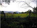 looking across farmland to Steep Farm and Wheatham Hill