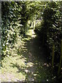 North Downs Way which runs alongside the road here.