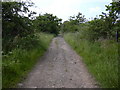 Lane from Irwell Vale towards Helmshore