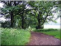 Bridleway to Elemore School